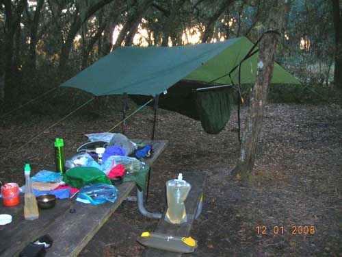 Ocala NF campsite